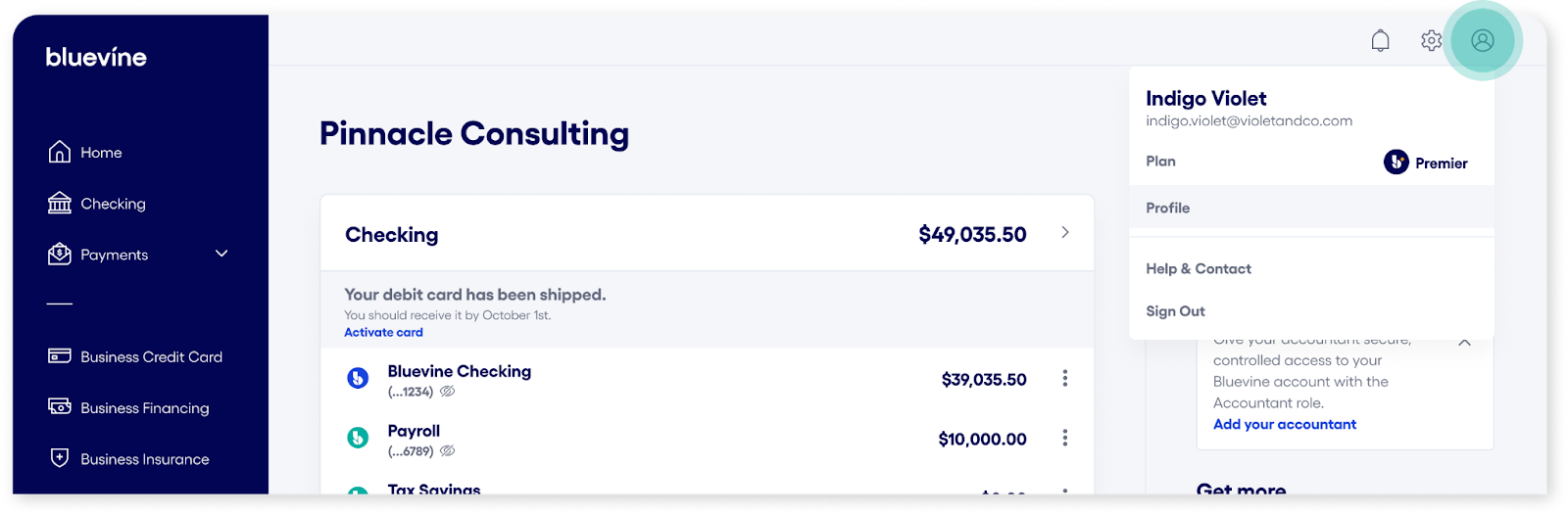 Bluevine dashboard profile selection