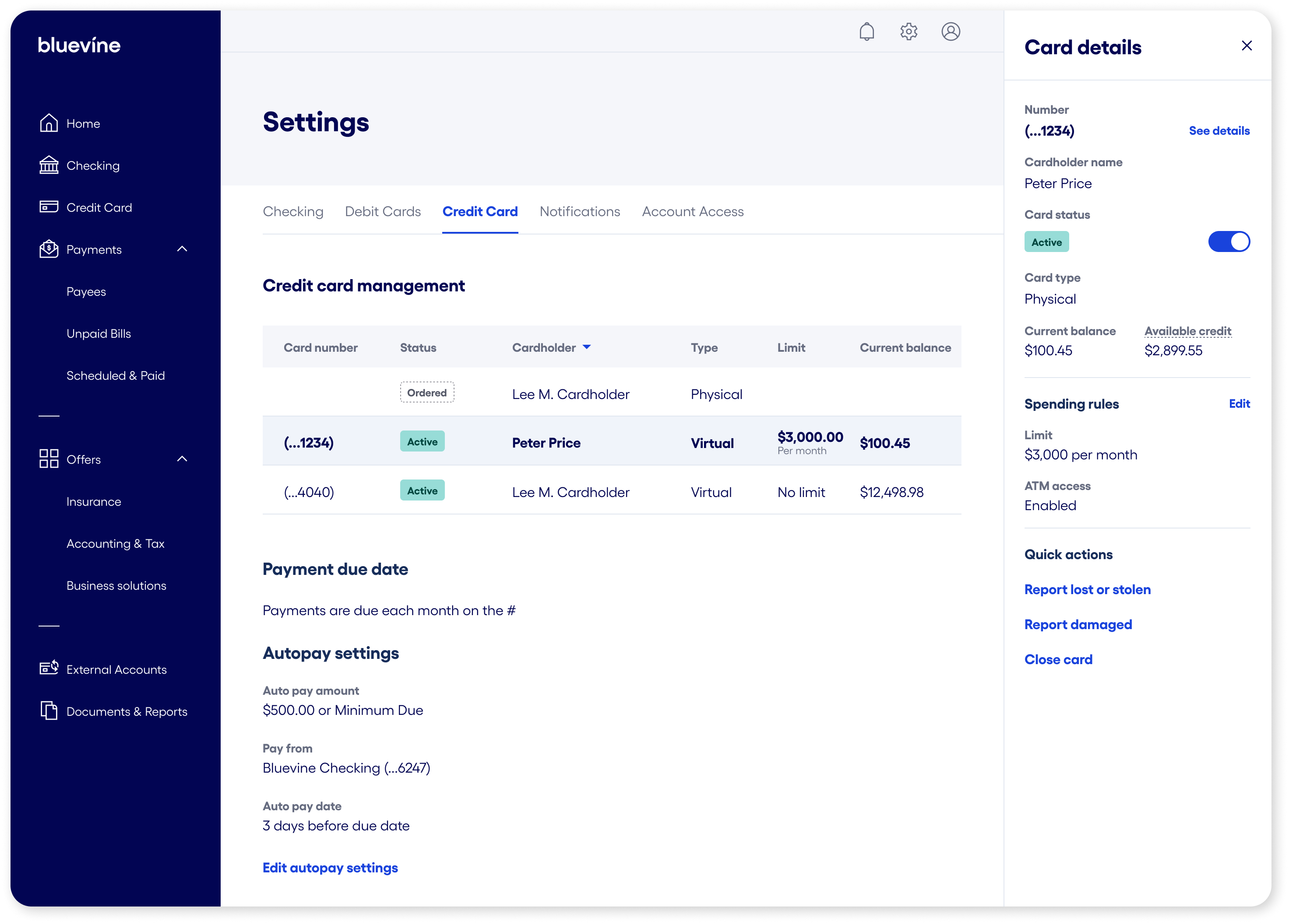 Credit Card Card details